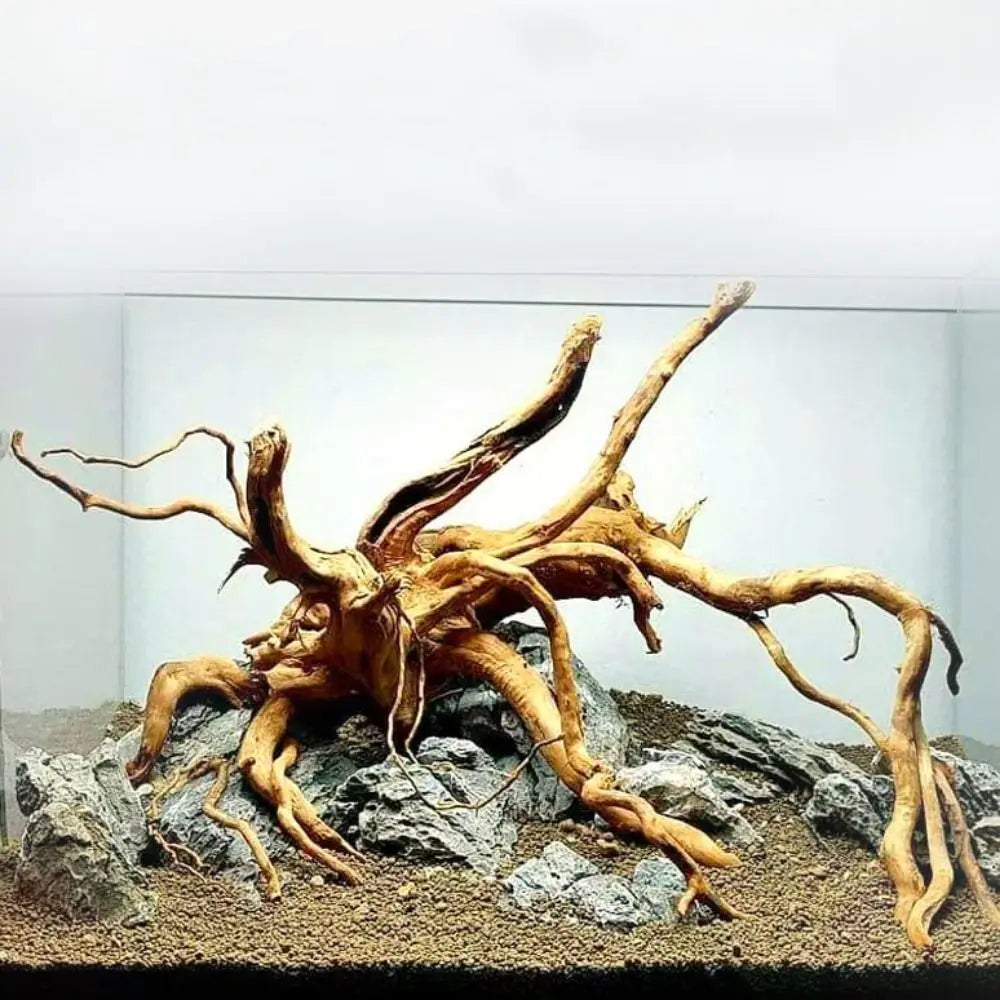 Nature's Embrace Driftwood™ - Large Aquarium & Terrarium Decor