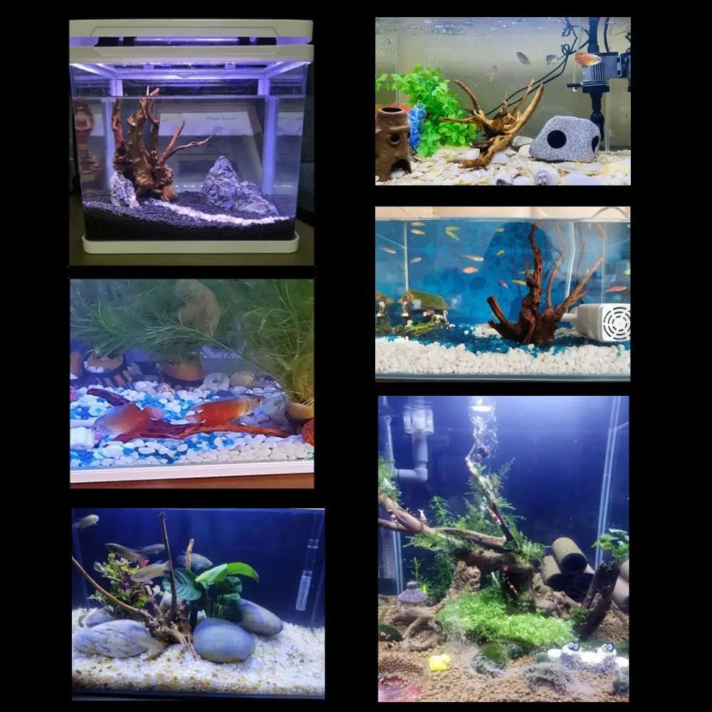 Nature's Embrace Driftwood™ - Large Aquarium & Terrarium Decor